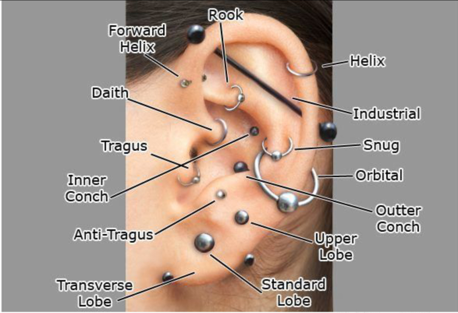 The 10 Best Piercing Shops Near Me (with Prices & Reviews)
